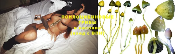 молекула духа Новодвинск