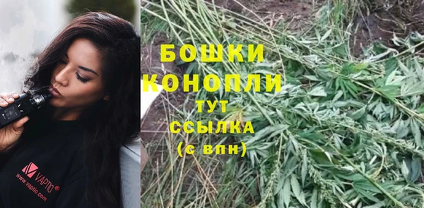 молекула духа Новодвинск