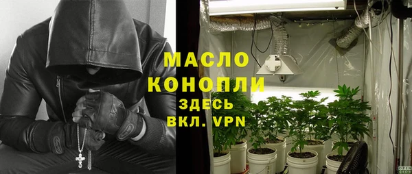 молекула духа Новодвинск