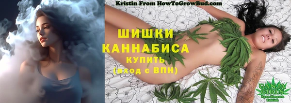 Альфа ПВП Нягань