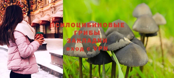 МДПВ Няндома