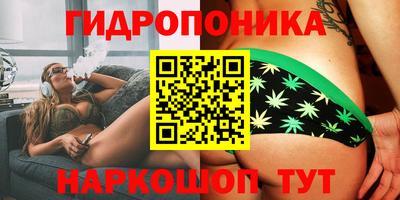 Альфа ПВП Бийск