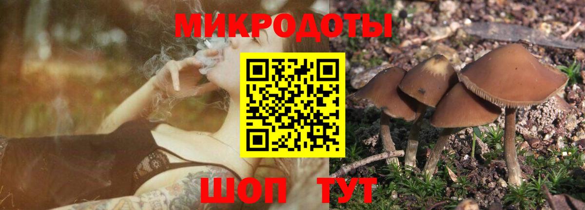 Черногорск  Галлюциногенные грибы GOLDEN TEACHER  Вход с VPN 