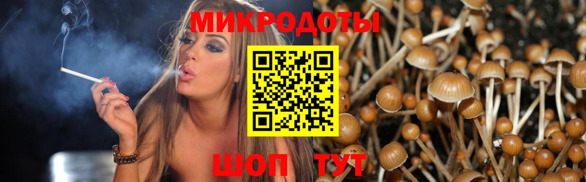 Псилоцибиновые грибы Magic Shrooms Черногорск