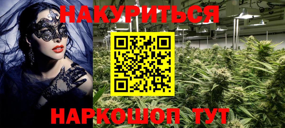 Канабис OG Kush Черногорск