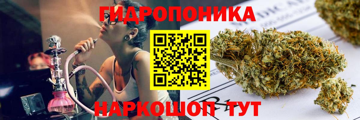 Бошки марихуана гибрид  Канабис Ganja  Черногорск  Шишки марихуана планчик 